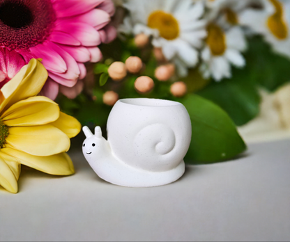 Snail Oil and Wax Burner