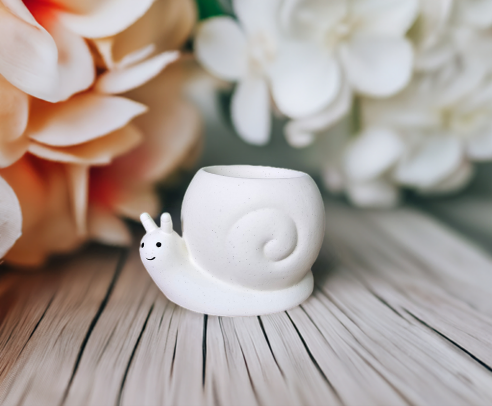 Snail Oil and Wax Burner