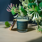 Honeysuckle Candle