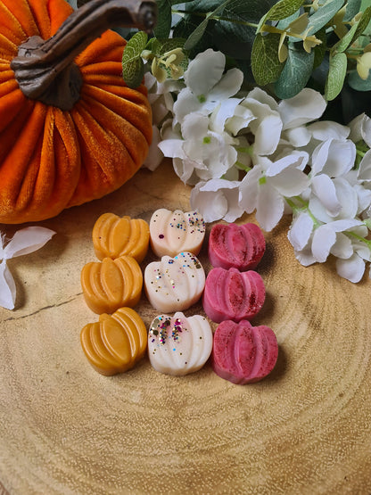 Autumn Scented wax melts gift set