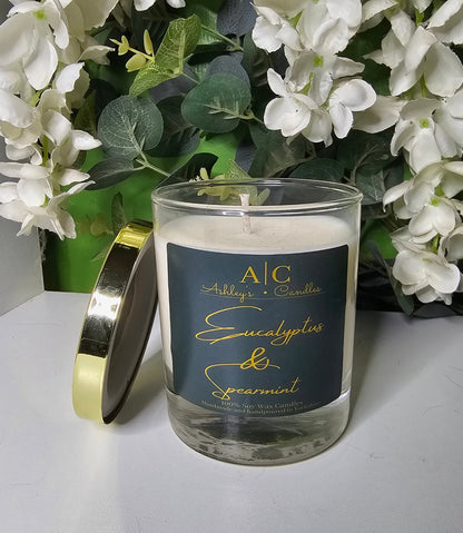 Eucalyptus and Spearmint Candle